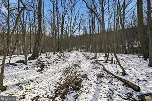 19200 Charles Town Rd, Harpers Ferry, WV 25425 - Photo 9