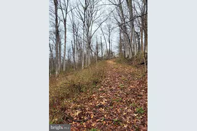 Bear Run, Harpers Ferry, WV 25425 - Photo 5