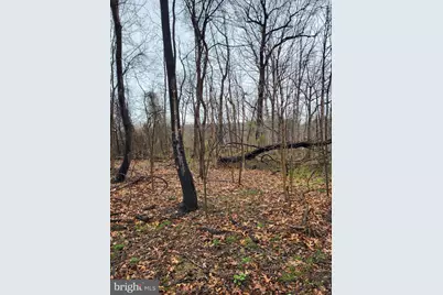 Bear Run, Harpers Ferry, WV 25425 - Photo 13