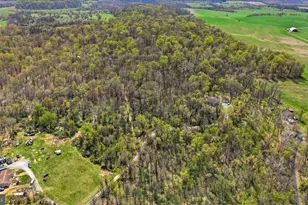 622 Ann Lewis Rd, Charles Town, WV 25414 - Photo 51