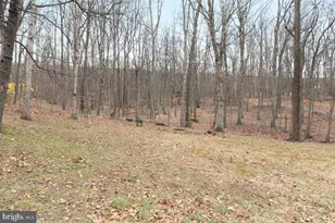 293 Sourmash Rd, Harpers Ferry, WV 25425 - Photo 25