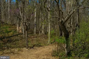 753 Seven Springs Rd, Charles Town, WV 25414 - Photo 53