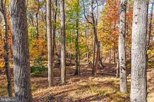 203 Honeysuckle Ln, Harpers Ferry, WV 25425 - Photo 45