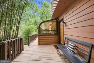 141 Mason Dr, Harpers Ferry, WV 25425 - Photo 67