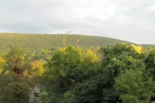 34 Niagara Way, Harpers Ferry, WV 25425 - Photo 27