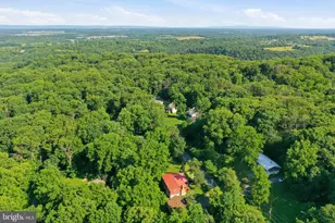 253 Persimmon Pear Ln, Harpers Ferry, WV 25425 - Photo 59