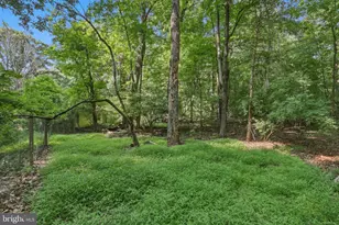 656 Kelly Dr, Harpers Ferry, WV 25425 - Photo 53
