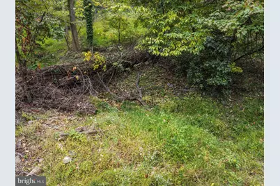 366 Huckleberry Lane, Harpers Ferry, WV 25425 - Photo 61