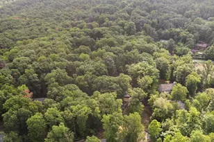 194 Black Cub Run Ln, Harpers Ferry, WV 25425 - Photo 45