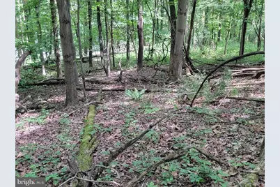 46 Pounds Hollow Road, Morgantown, WV 26508 - Photo 21