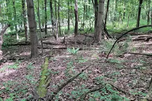 46 Pounds Hollow Rd, Morgantown, WV 26508 - Photo 21