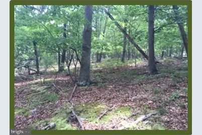 Off Rt. 220/Cut Off, Keyser, WV 26726 - Photo 1