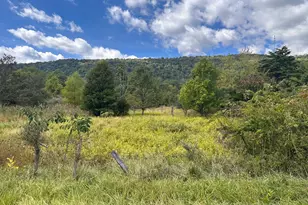 Knobley Rd, Keyser, WV 26726 - Photo 1