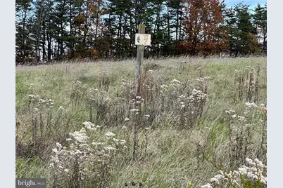 Lot #7 Markwood Drive, Keyser, WV 26726 - Photo 13