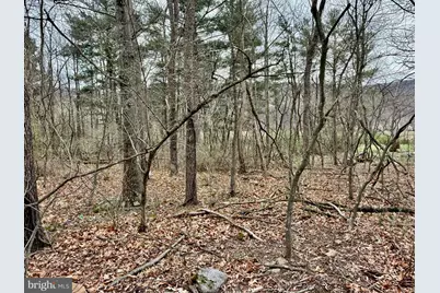 Timberlake Estates - Lot 2, New Creek, WV 26743 - Photo 5