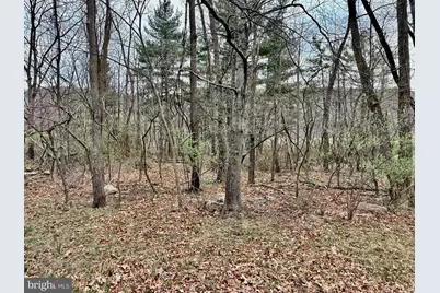 Timberlake Estates - Lot 2, New Creek, WV 26743 - Photo 1