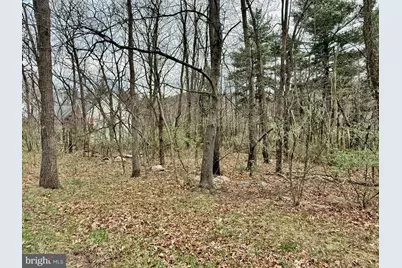 Timberlake Estates - Lot 2, New Creek, WV 26743 - Photo 3
