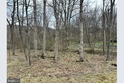 Timberlake Estates - Lot 24, New Creek, WV 26743 - Photo 1