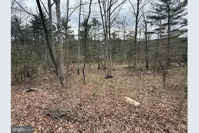 Timberlake Estates - Lot 4, New Creek, WV 26743 - Photo 3