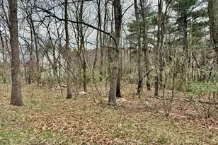 Timberlake Estates - Lot 6, New Creek, WV 26743 - Photo 1