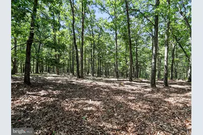 2180 Old Smith Farm Road, Springfield, WV 26763 - Photo 21