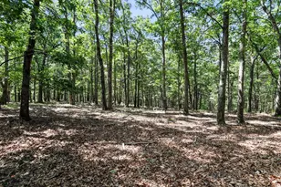 2180 Old Smith Farm Rd, Springfield, WV 26763 - Photo 21