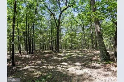 2180 Old Smith Farm Road, Springfield, WV 26763 - Photo 23