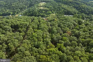 13531 Frankfort Hwy, Springfield, WV 26763 - Photo 13