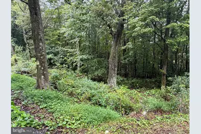 0 Pinnacle Road, Keyser, WV 26726 - Photo 17