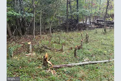 0 Pinnacle Road, Keyser, WV 26726 - Photo 3
