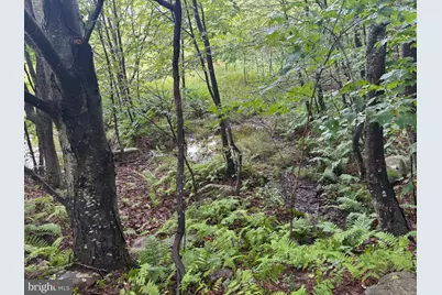 0 Pinnacle Road, Keyser, WV 26726 - Photo 25