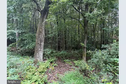 0 Pinnacle Road, Keyser, WV 26726 - Photo 59