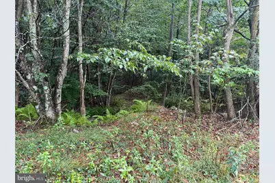 0 Pinnacle Road, Keyser, WV 26726 - Photo 11