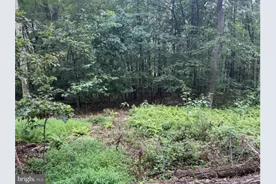 0 Pinnacle Road, Keyser, WV 26726 - Photo 57