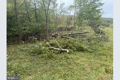 0 Pinnacle Road, Keyser, WV 26726 - Photo 37