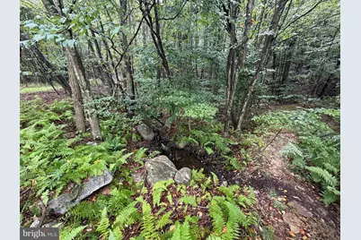 0 Pinnacle Road, Keyser, WV 26726 - Photo 33