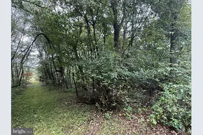0 Pinnacle Road, Keyser, WV 26726 - Photo 55