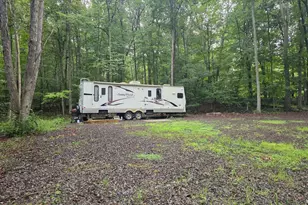 Shadyside Rd, Elk Garden, WV 26717 - Photo 1