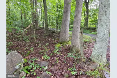 Shadyside Road, Elk Garden, WV 26717 - Photo 3