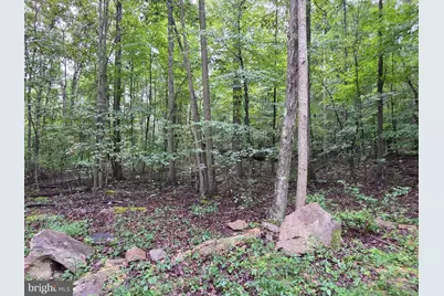 Shadyside Road, Elk Garden, WV 26717 - Photo 7