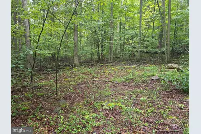 Shadyside Road, Elk Garden, WV 26717 - Photo 11