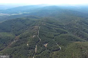 102 Bluffs Ridge Rd, Fort Ashby, WV 26719 - Photo 93