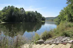 102 Bluffs Ridge Rd, Fort Ashby, WV 26719 - Photo 113