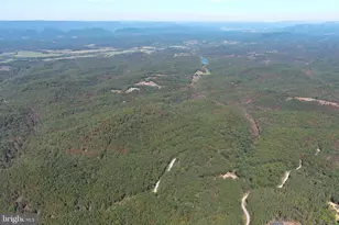 102 Bluffs Ridge Rd, Fort Ashby, WV 26719 - Photo 83