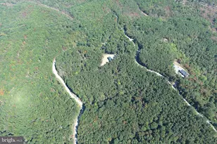 102 Bluffs Ridge Rd, Fort Ashby, WV 26719 - Photo 81