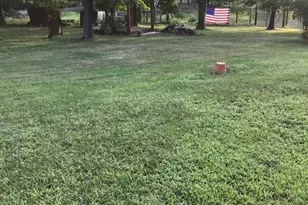 250 Forest Dr, Ridgeley, WV 26753 - Photo 5