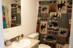 1101 Beaver Run Rd, Burlington, WV 26710 - Photo 19