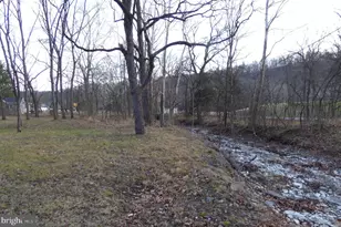 102 Dry Run Rd, Burlington, WV 26710 - Photo 5