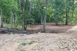 Abrams Creek, Elk Garden, WV 26717 - Photo 1