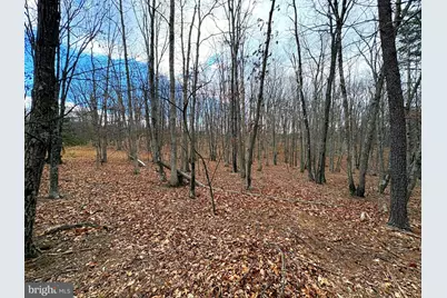 1489 Painter Hollow Road, Fort Ashby, WV 26719 - Photo 29